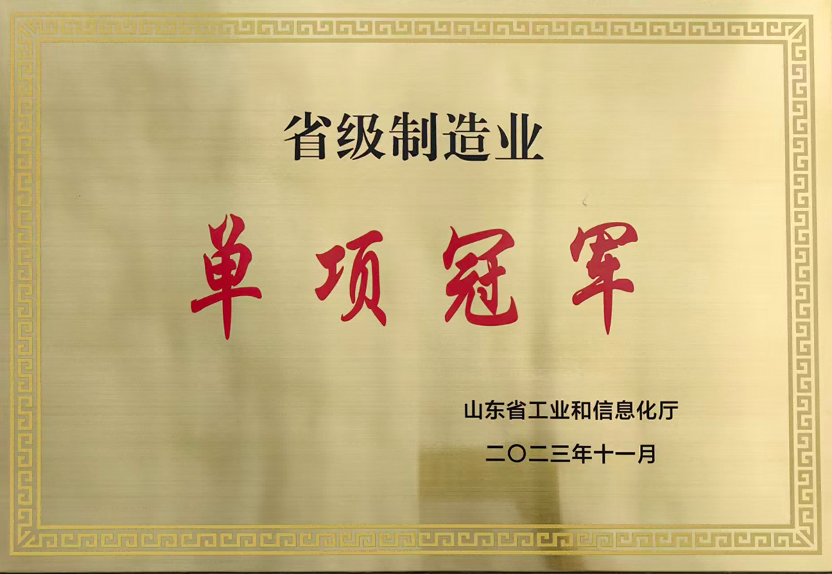 省级制造业单项冠军